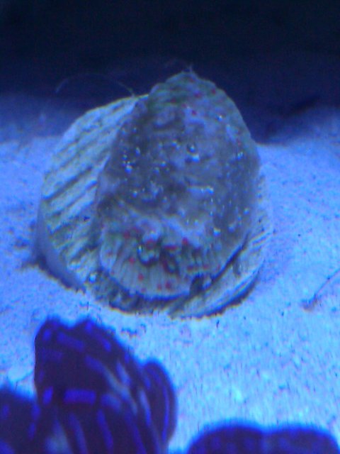 Phone Pictures 022.jpg