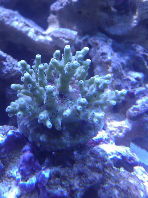 Phone Pictures 021.jpg