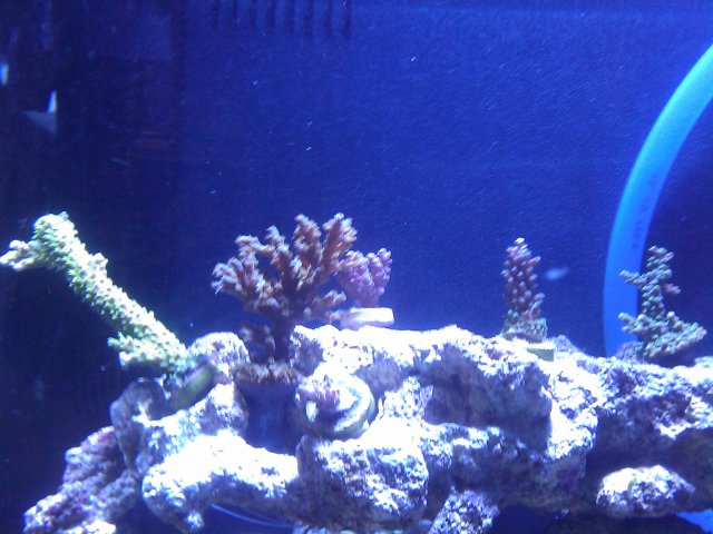 Phone Pictures 007.jpg