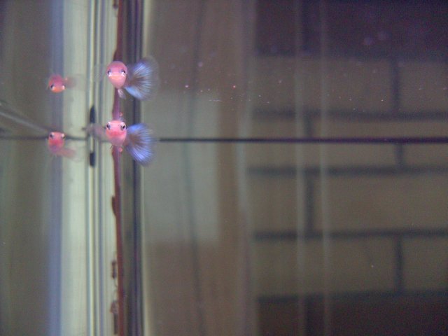 BILD2074.JPG