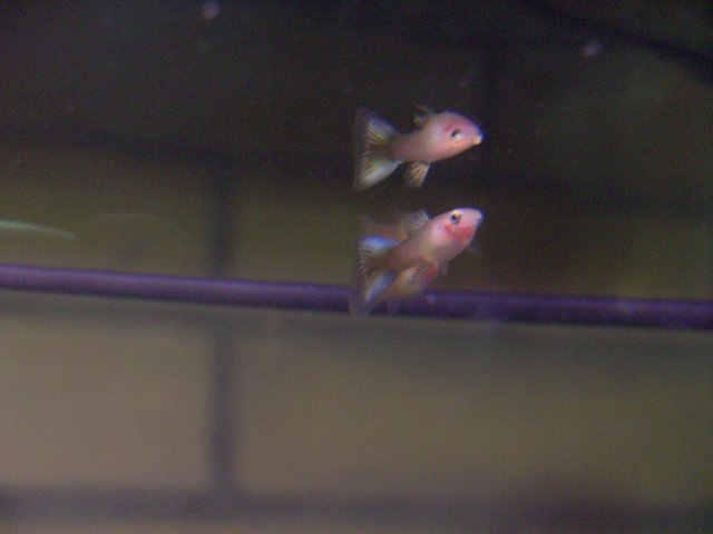 BILD2084.JPG