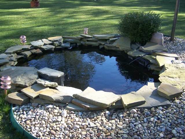 100_2638.JPG