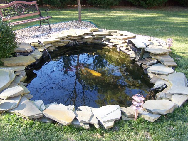 100_2639.JPG