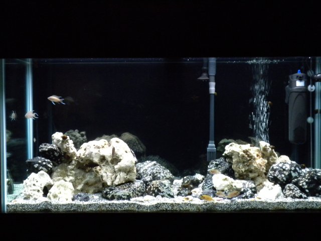 Tang full tank.JPG