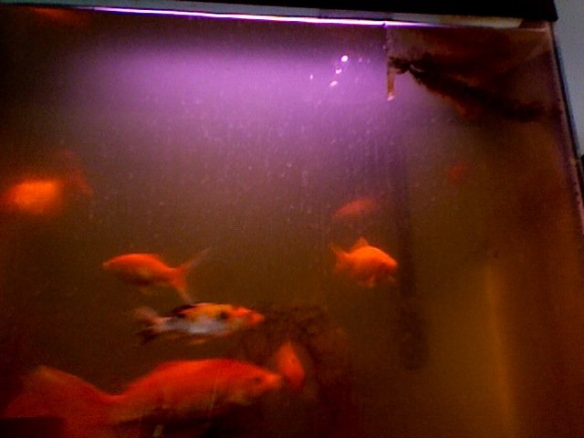 Photo 2.jpg