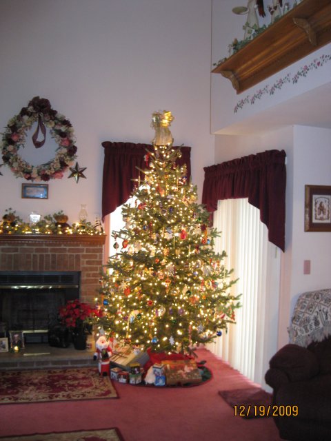 Picture 003.jpg