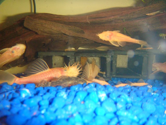 DSC00861.JPG