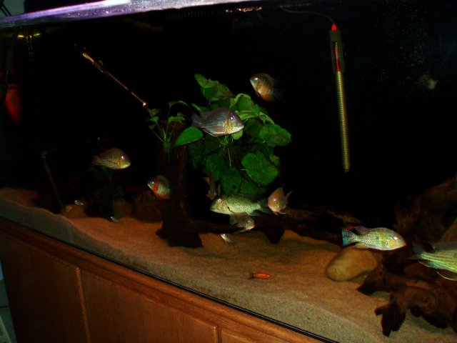 PC190323.JPG PC190323.JPG