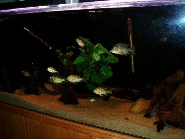 PC190324.JPG PC190324.JPG