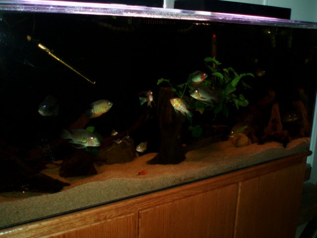 PC190326.JPG PC190326.JPG