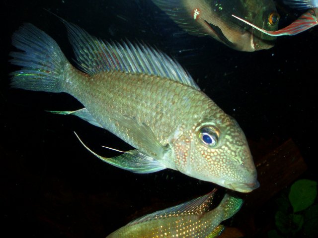 PC190283.JPG PC190283.JPG