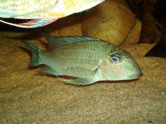 PC190299.JPG PC190299.JPG