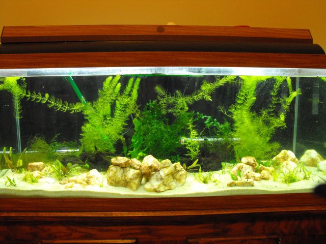 December 2009 032.jpg