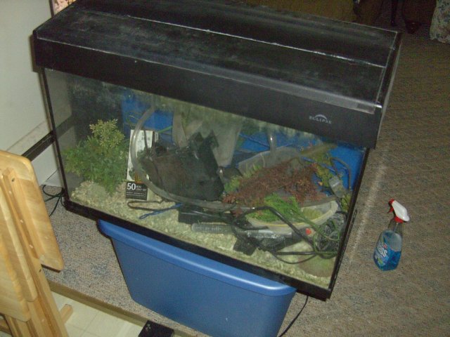 BILD2088.JPG BILD2088.JPG