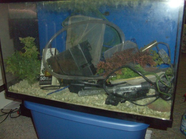 BILD2089.JPG BILD2089.JPG