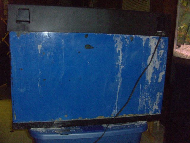 BILD2090.JPG BILD2090.JPG