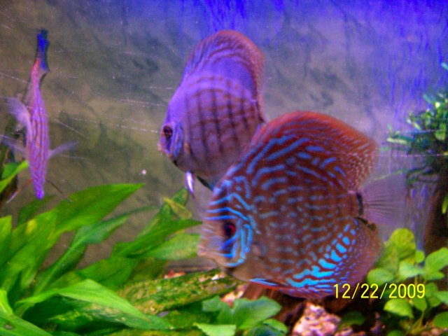 000_3688.jpg