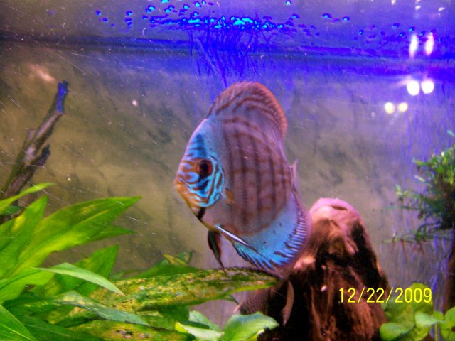 000_3694.jpg