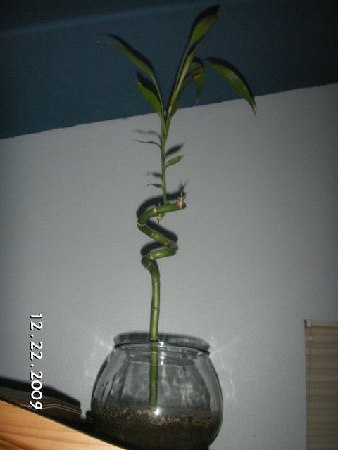 PICT0029.JPG