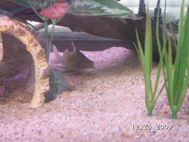 PICT0032.JPG