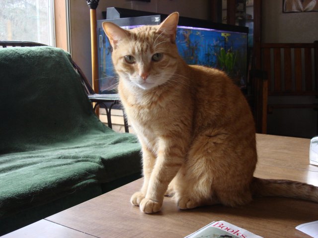 testPictures 197.jpg