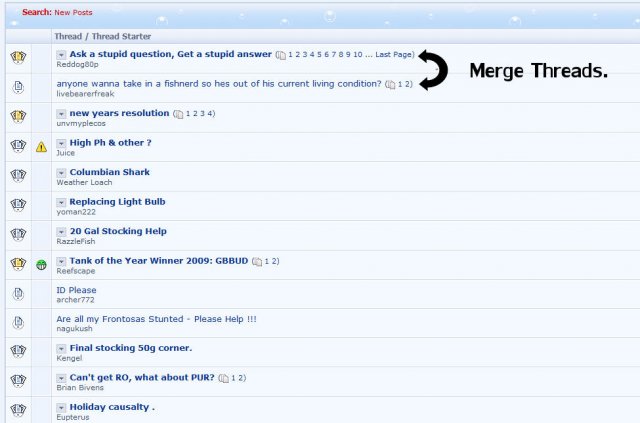merge.jpg