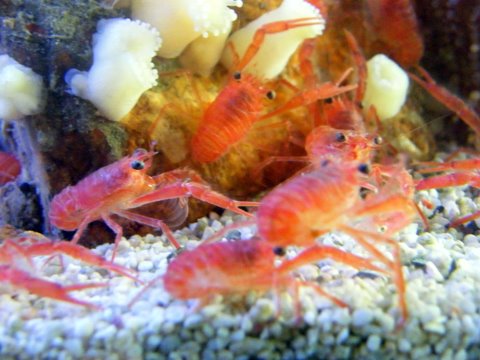 2009_122608729timelapse0004.JPG