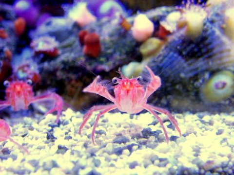 2009_122608729timelapse0007.JPG