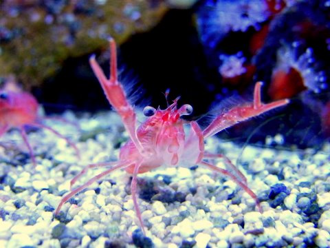 2009_122608729timelapse0015.JPG
