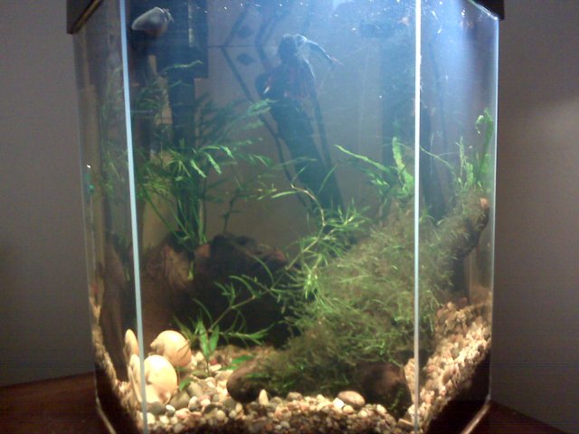 IMG00020.jpg IMG00020.jpg