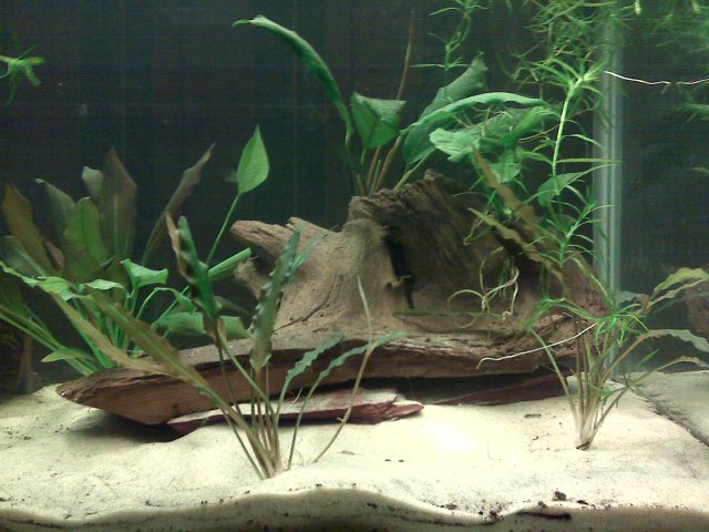 IMG00018.jpg IMG00018.jpg