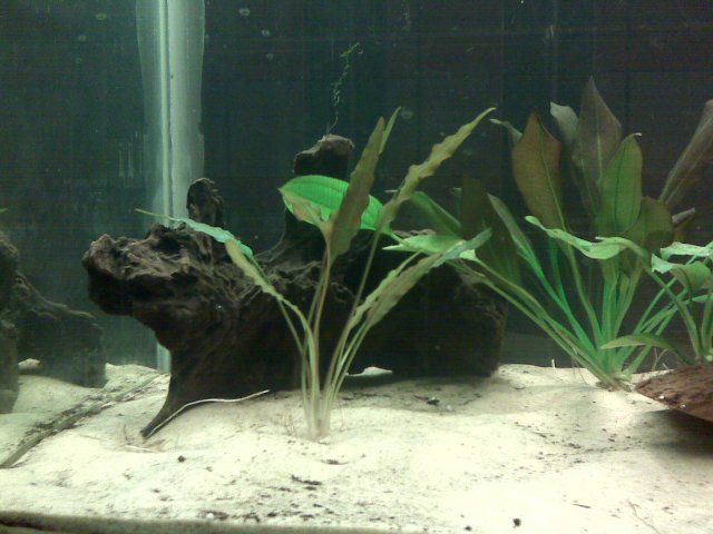 IMG00019.jpg IMG00019.jpg