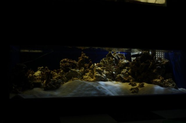 plywood tank 018.JPG