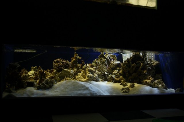 plywood tank 019.JPG