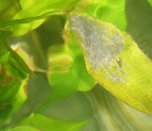 DSCF0122.jpg