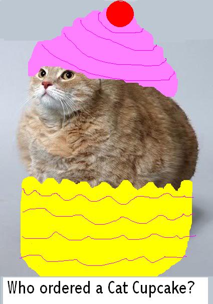 Muffin-cat.jpg