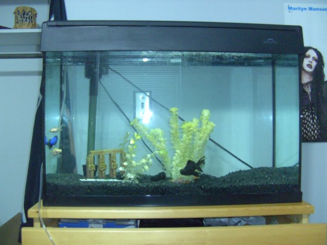 BILD2101.JPG