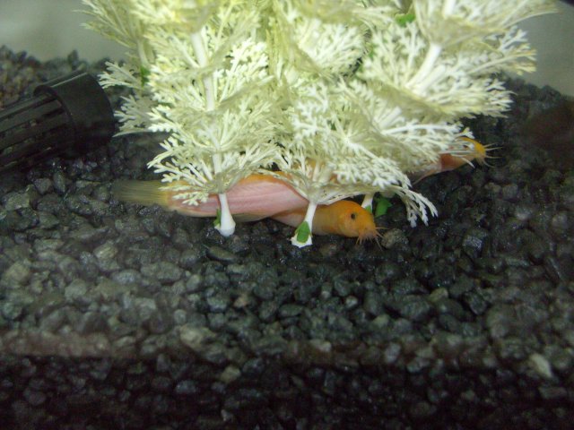 BILD2099.JPG