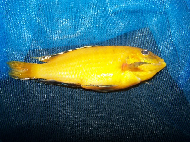 100_2732.JPG