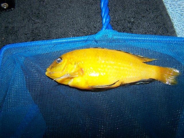 100_2734.JPG