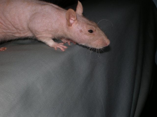 IMGP4946.JPG IMGP4946.JPG