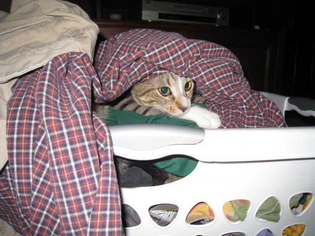 Joey and Katie 049.JPG
