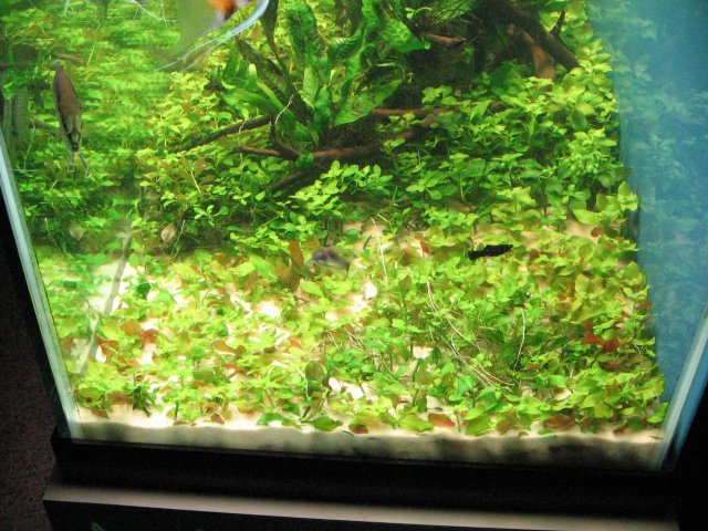 IMG_0004.JPG