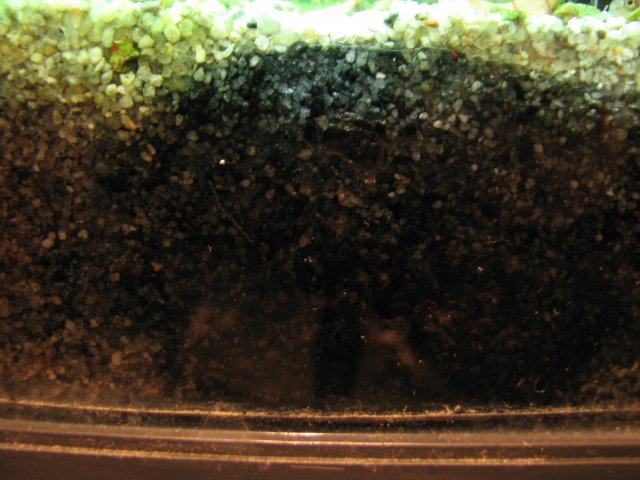 IMG_5886.JPG