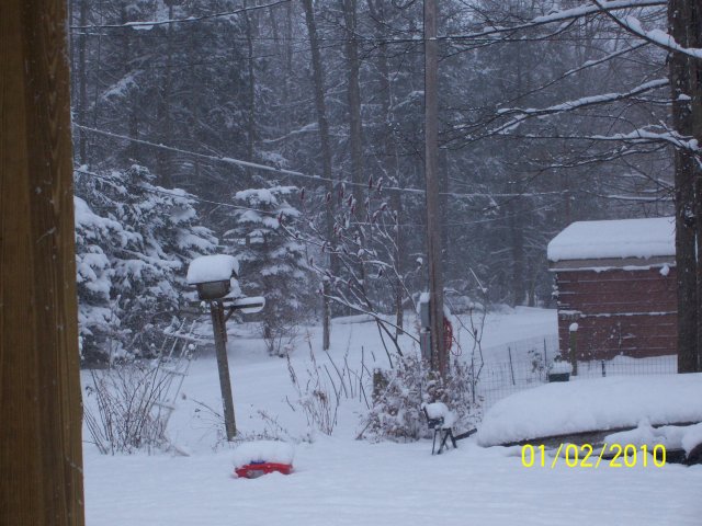 000_3732.jpg 000_3732.jpg