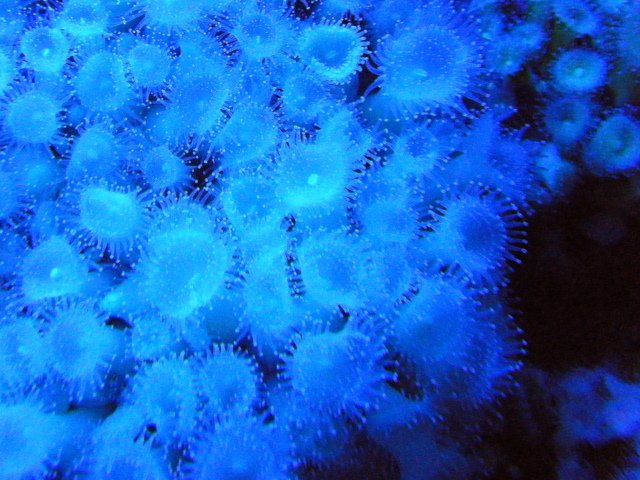 led.7..JPG