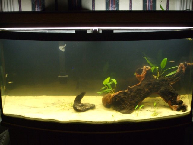 tank1.jpg