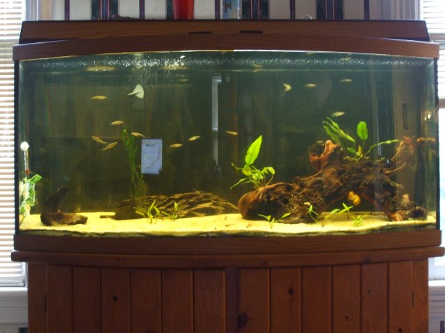 tank2.jpg