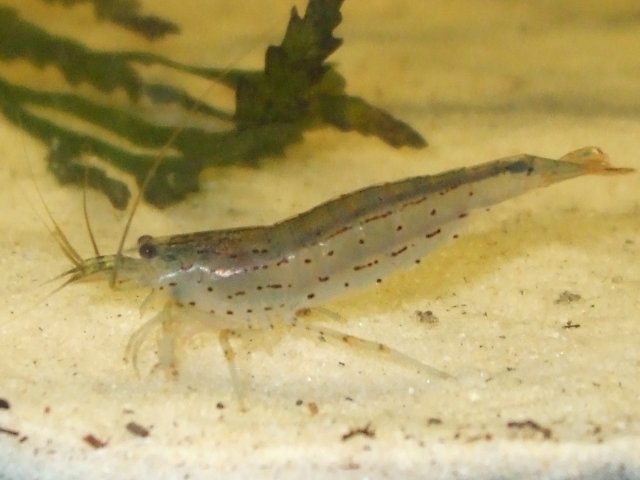 June 9, 2009 008.jpg