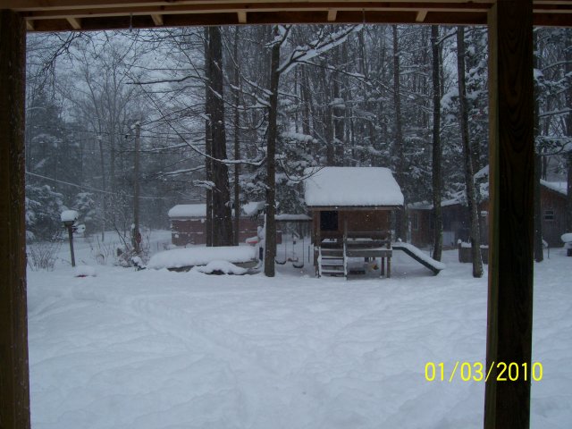 000_3739.jpg